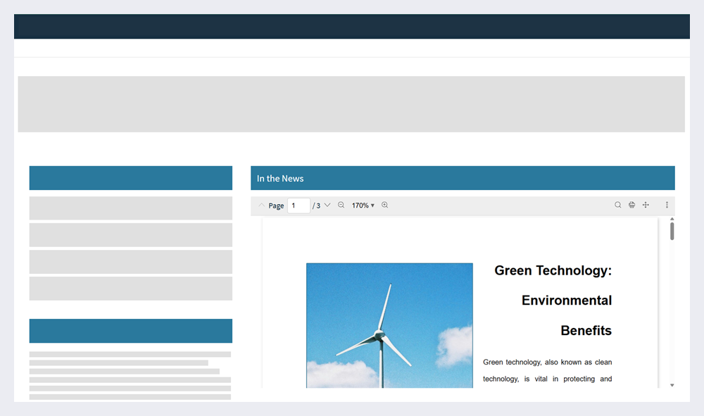 Document preview widget on a page.