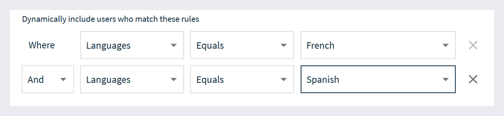 Dynamic rule where languages equals French and Spanish.